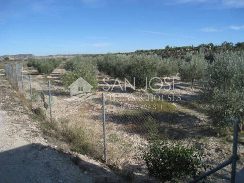 Land in Aspe for sale - Building Photo - Image 2 of 4