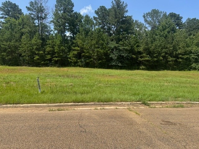 Parklane Rd, Mccomb, MS for sale - Building Photo - Image 2 of 4