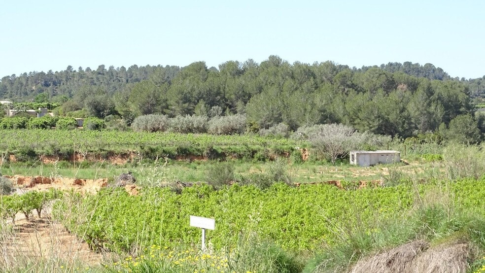 Polígono Enchilagar del Rullo, 16, Vilamarxant, Valencia for sale - Building Photo - Image 2 of 27