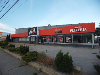 More details for 229 Broadhollow Rd, Farmingdale, NY - Industrial for Sale