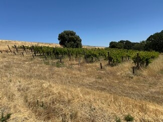 More details for 342 Kalthoff Common, Livermore, CA - Land for Sale