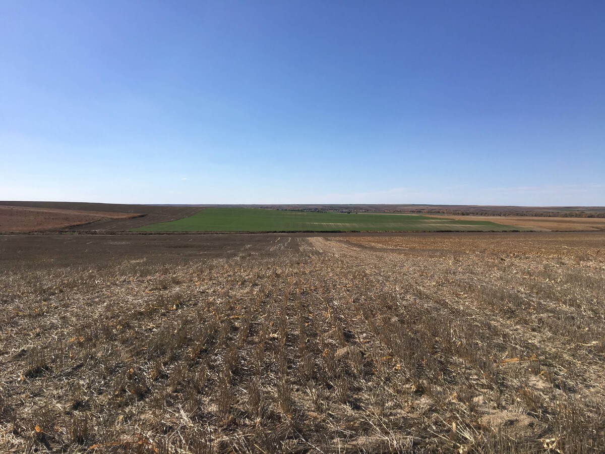 Kansas Nebraska Farm & Rnch, Bird City, KS 67731