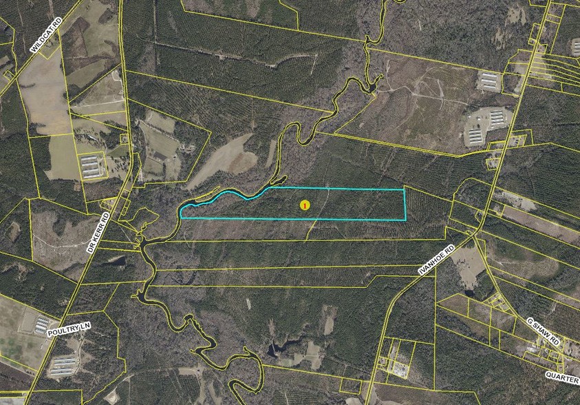 IVANHOE ROAD MARIE SHAW TRACT, Ivanhoe, NC for sale - Other - Image 1 of 1