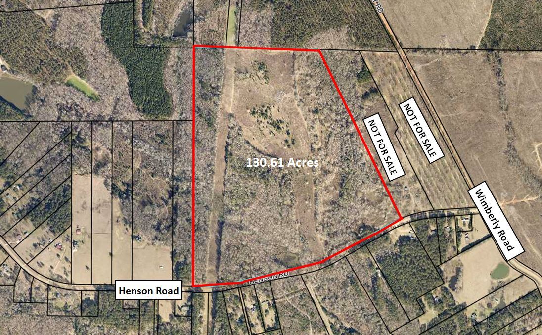Henson Road, Hawkinsville, GA 31036 Land for Sale