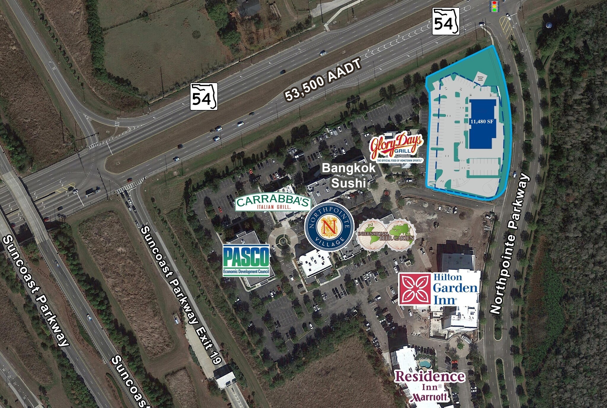 16611 Pointe Village Dr, Lutz, FL 33558 Retail for Lease
