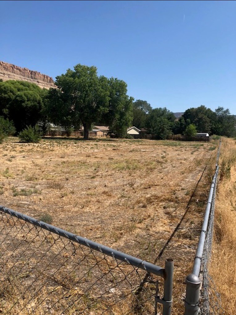 724 Elberta Ave, Palisade, CO for sale Primary Photo- Image 1 of 1