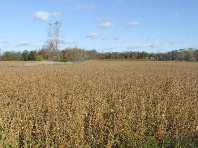 E Potter Rd, Davison, MI for sale - Primary Photo - Image 1 of 1