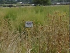 3188 N 2000 W, Farr West, UT for sale Building Photo- Image 1 of 1