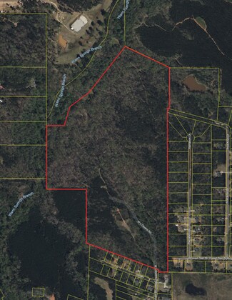 More details for 0 Whitehouse Pkwy, Warm Springs, GA - Land for Sale