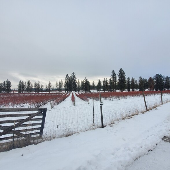 Devils Gap Rd Angels landing My Drive North rd, Ford, WA for sale - Building Photo - Image 3 of 3