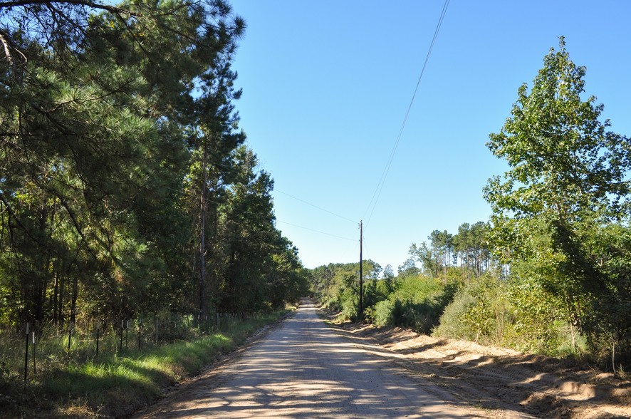 211 CR, Zavalla, TX for sale - Other - Image 1 of 1