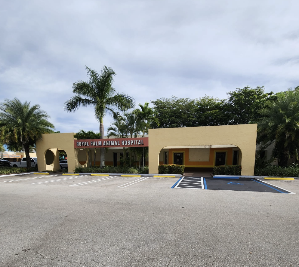 650 Royal Palm Beach Blvd, Royal Palm Beach, FL for lease Building Photo- Image 1 of 11