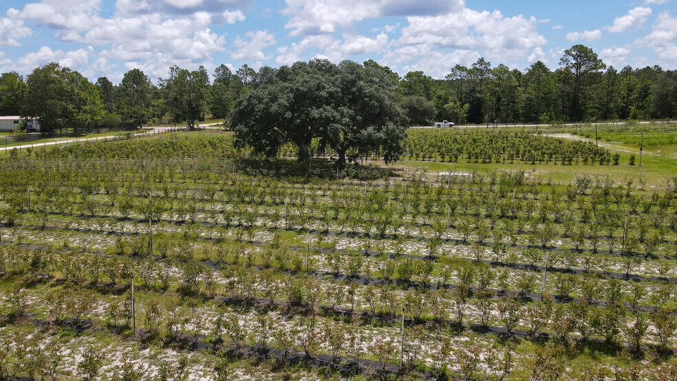 130 Strawberry Lane, Pomona Park, FL for sale - Other - Image 1 of 1