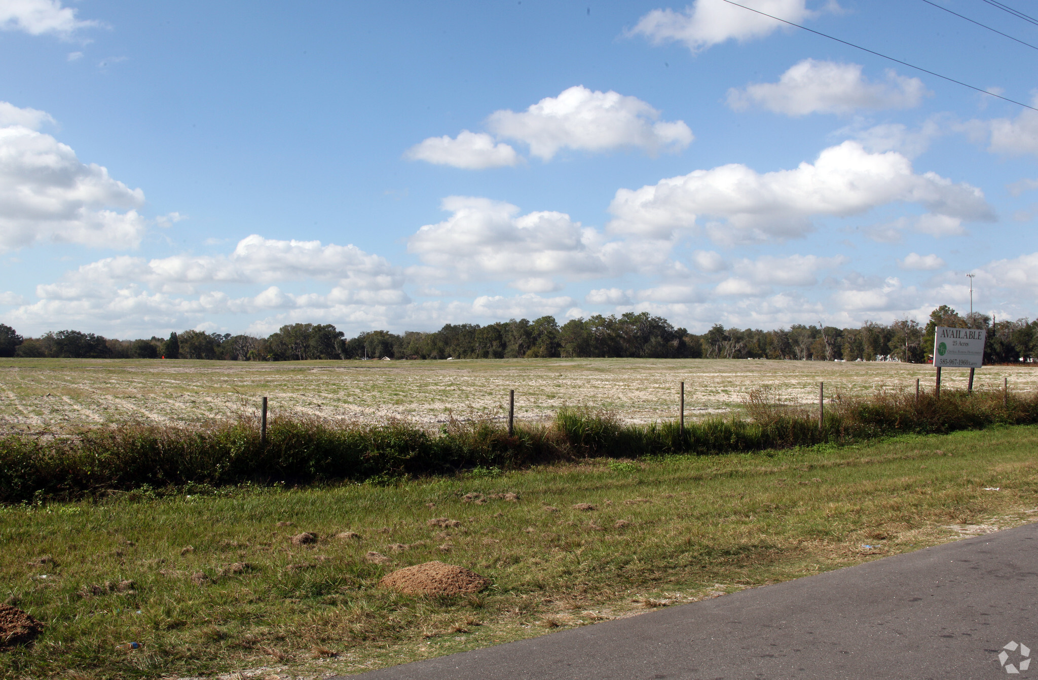 County Line Rd, Plant City, FL for sale Primary Photo- Image 1 of 1