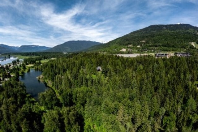 2941 Mcinnes Rd, Revelstoke, BC for sale - Primary Photo - Image 1 of 20