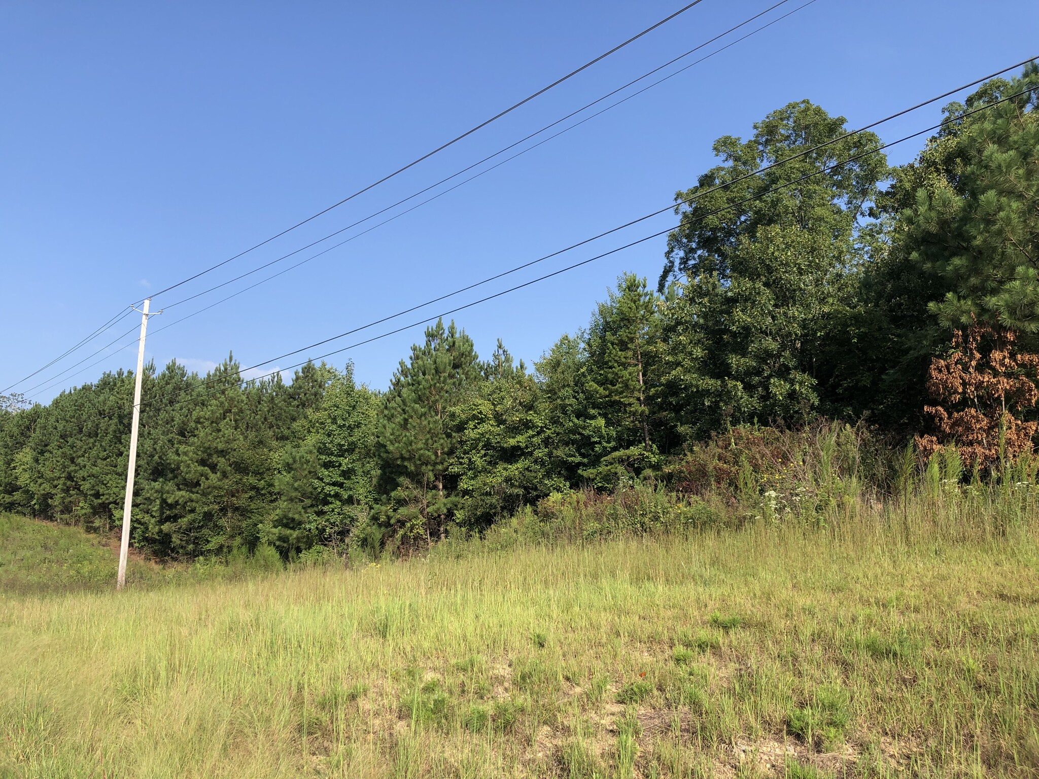 Highway 20, Cartersville, GA for sale Primary Photo- Image 1 of 4