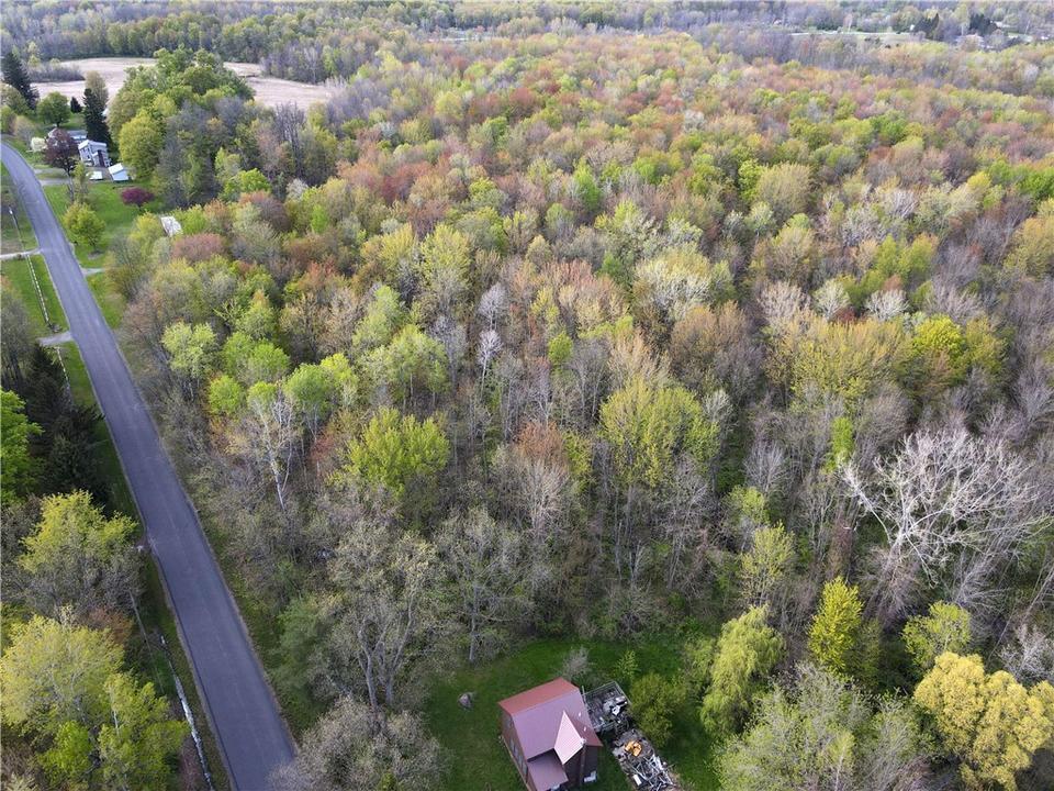 12666 Upton Rd, Red Creek, NY for sale Aerial- Image 1 of 7