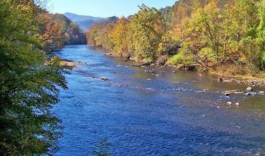 426 Marion Lewis Rd, West Jefferson, NC for sale - Other - Image 1 of 1