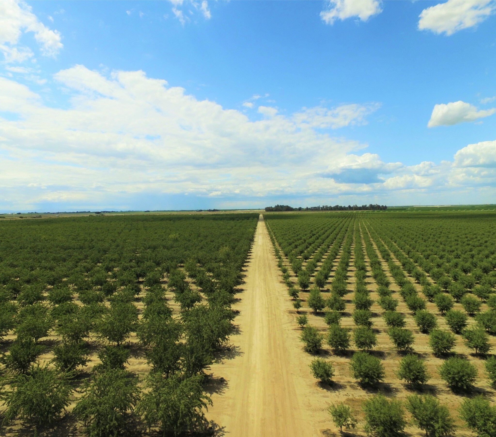 11656 S Mc Mullin Grade, Helm, CA for sale Building Photo- Image 1 of 1