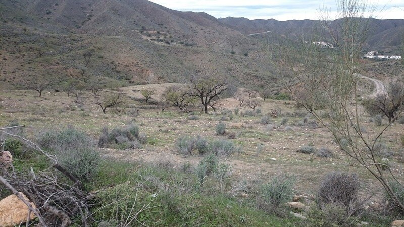 Land in Cantoria for sale - Building Photo - Image 2 of 3