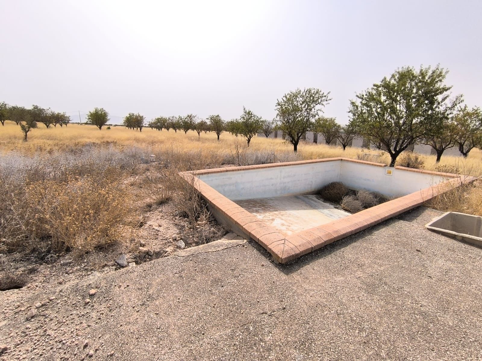 Land in Yecla for sale Building Photo- Image 1 of 13