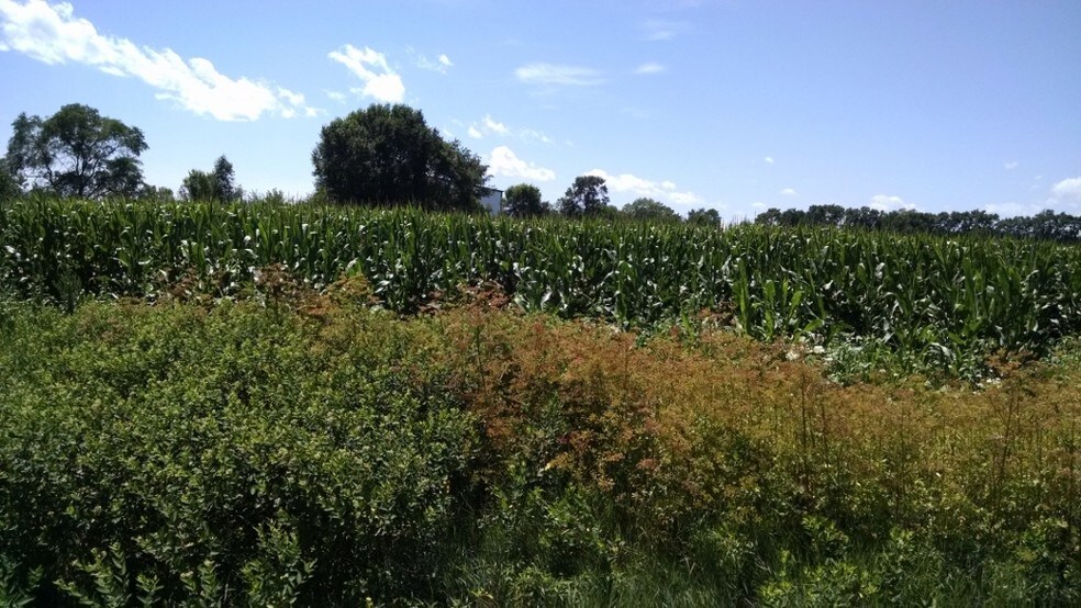 Burden & Forest Hills Rd, Machesney Park, IL for sale - Primary Photo - Image 1 of 1