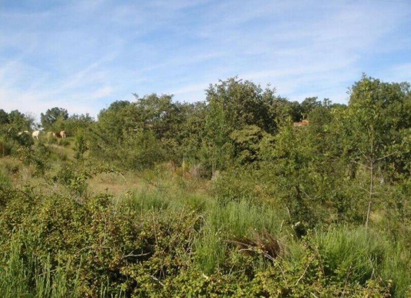 Land in Béjar for sale - Building Photo - Image 3 of 4