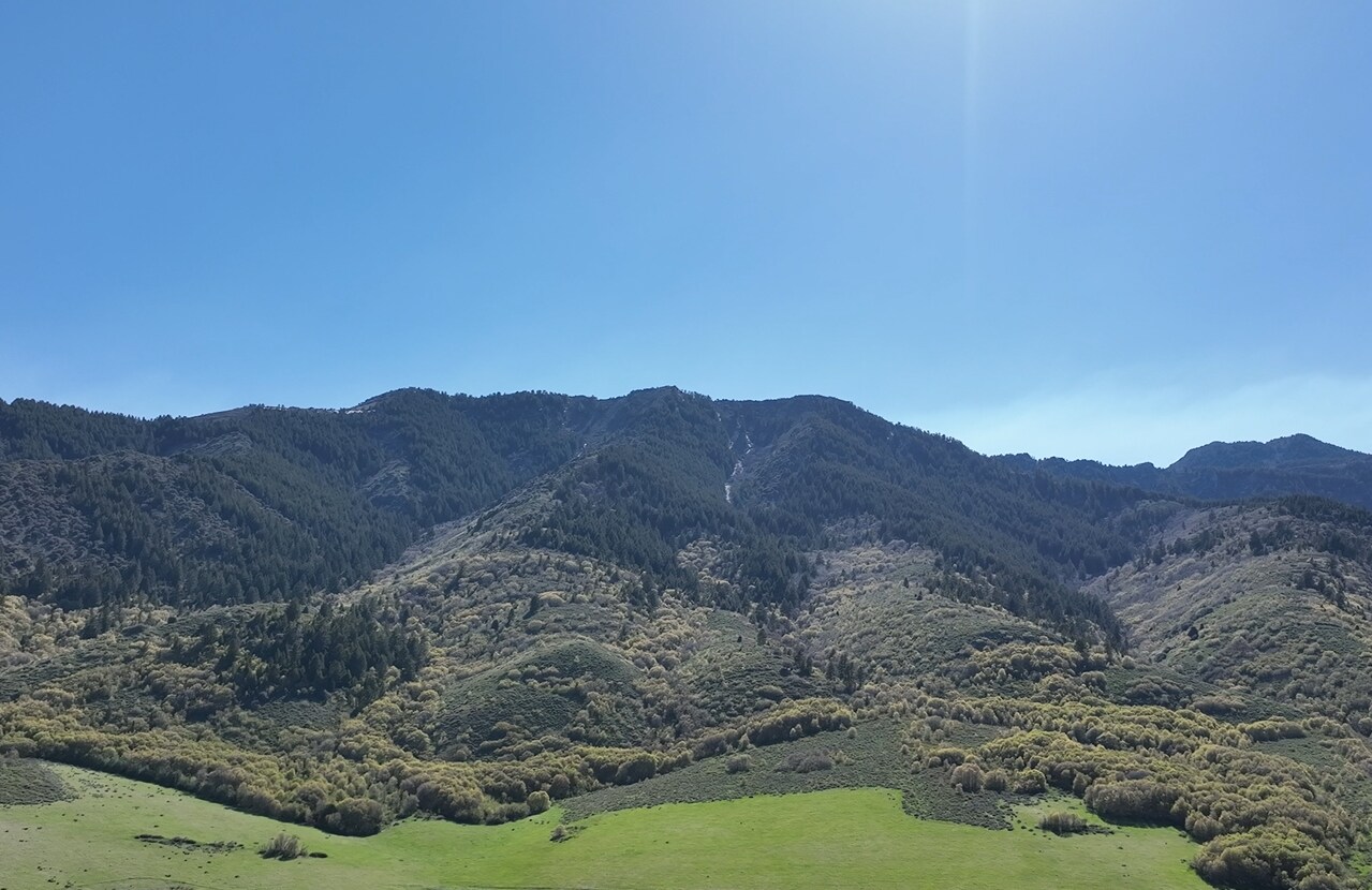 Steel Canyon Road, Clarkston, UT 84305