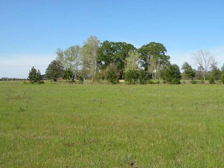 TBD Louisiana 121, Hineston, LA for sale - Primary Photo - Image 1 of 2