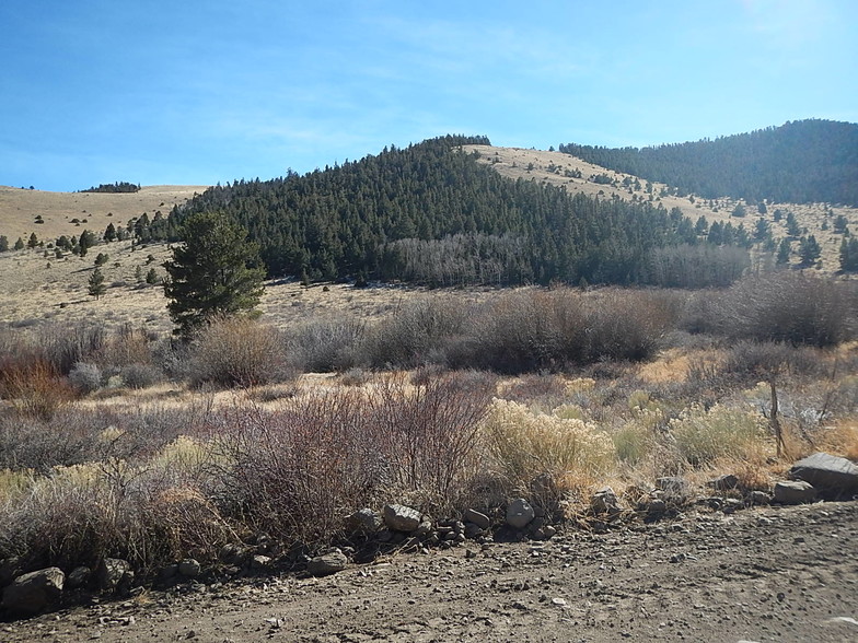 SAN FRANCISCO CREEK Rd, Del Norte, CO for sale - Other - Image 1 of 1