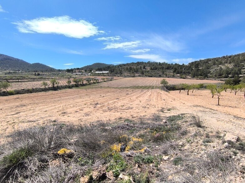 Land in Jumilla for sale - Building Photo - Image 3 of 4