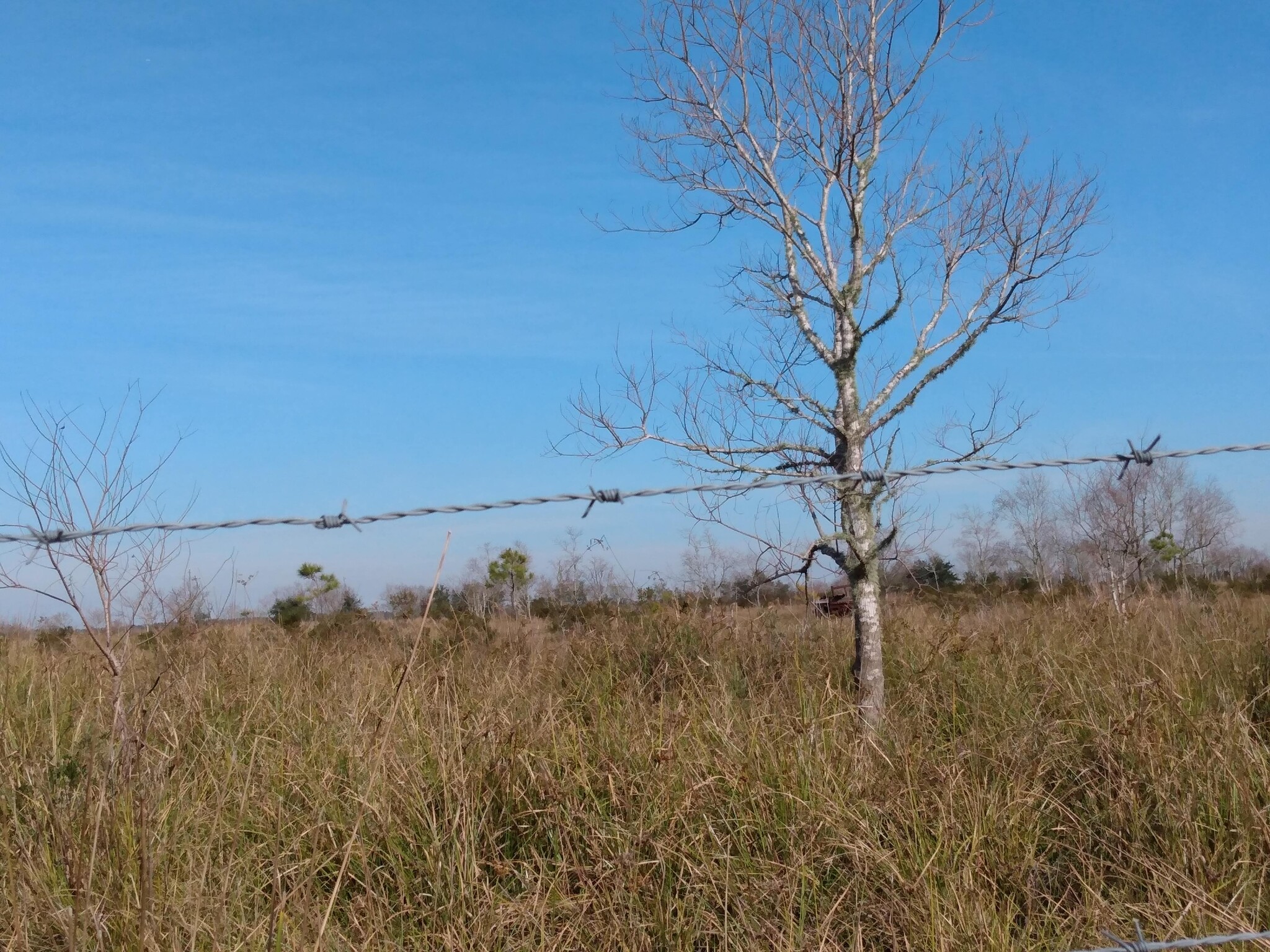 00 Belton Lane Extension Ln, Anahuac, TX for sale Primary Photo- Image 1 of 5