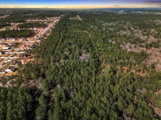 More details for A0186 DEASE CONLEY TRACT 12 ACRES 20, Conroe, TX - Land for Sale