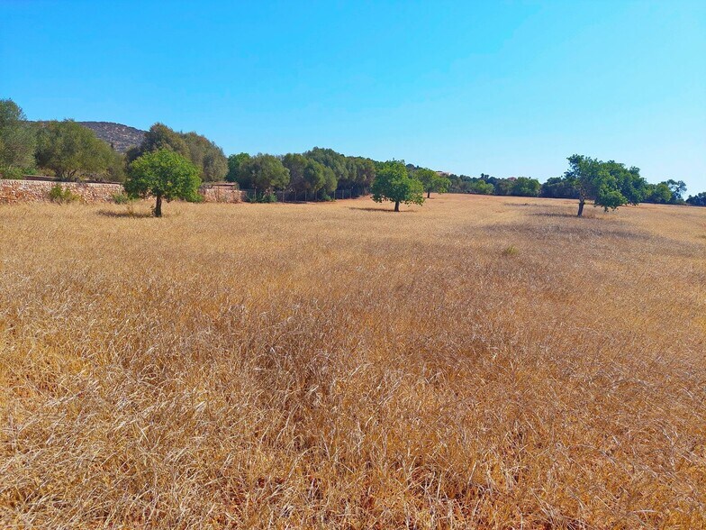 Land in Santanyí, Islas Baleares for sale - Building Photo - Image 3 of 5