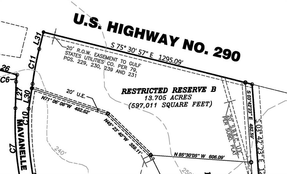 US HWY 290, Hempstead, TX for sale - Plat Map - Image 1 of 1