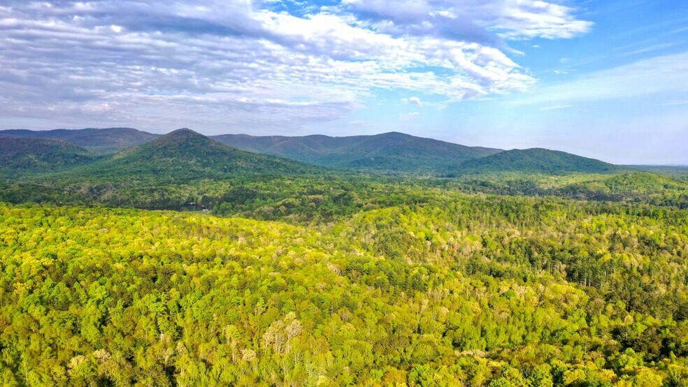 Pine Crest Rd, Jasper, GA for sale - Building Photo - Image 1 of 1