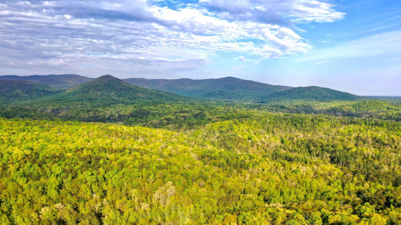 Pine Crest Rd, Jasper, GA for sale Building Photo- Image 1 of 1