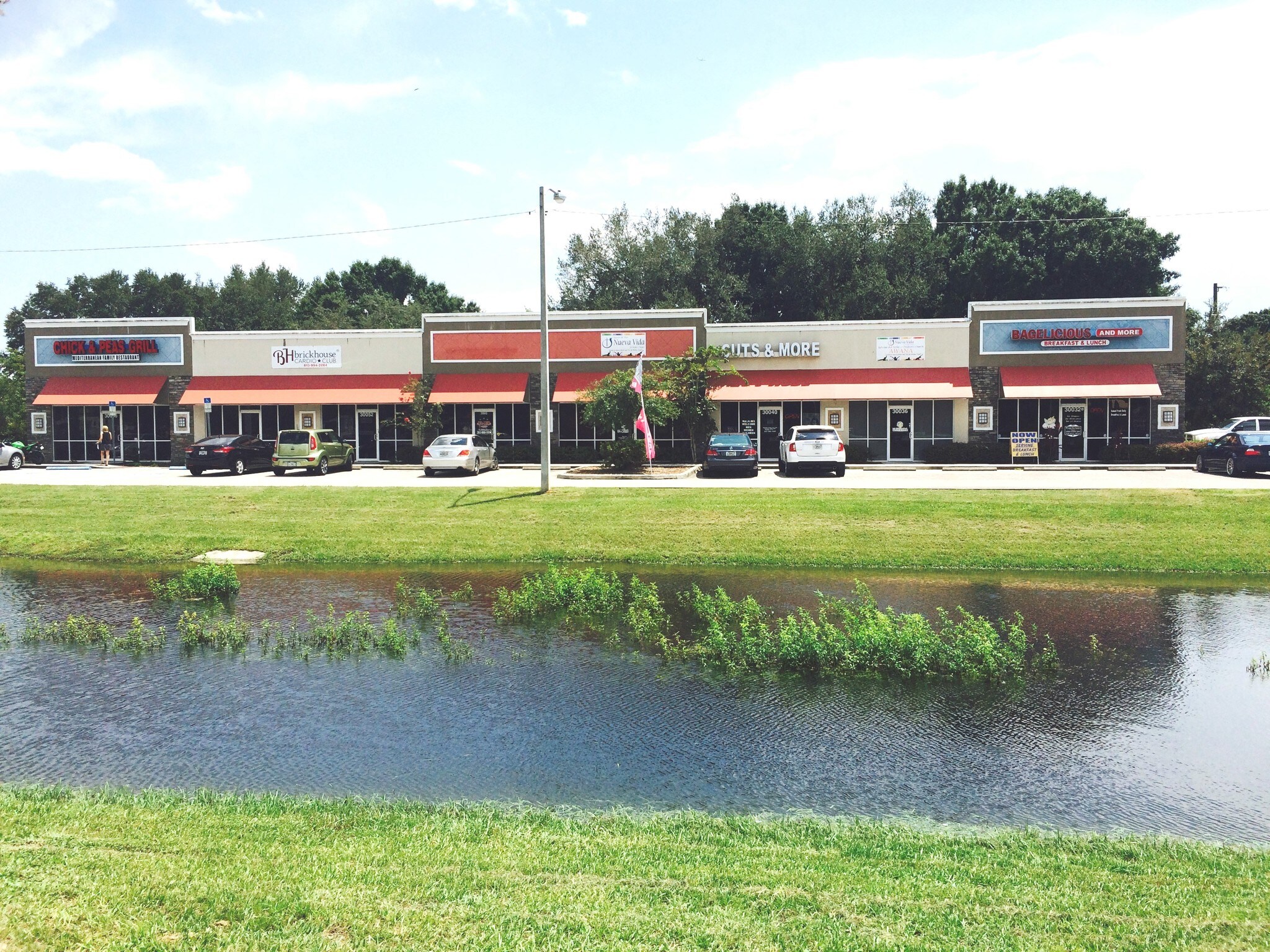 30032 State Road 54, Wesley Chapel, FL for sale Primary Photo- Image 1 of 1