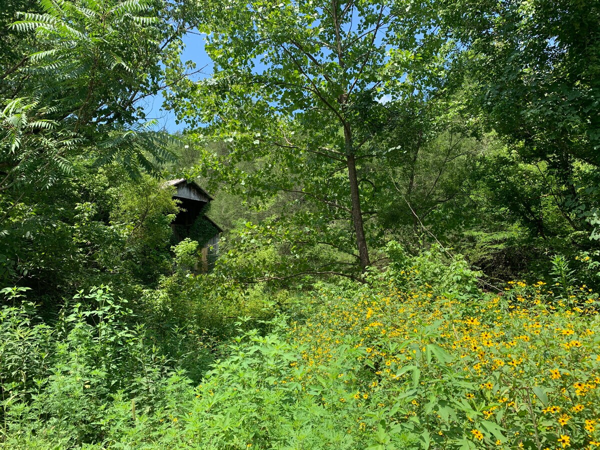 Sycamore Creek Rd, Woodbury, TN 37190 Land for Sale