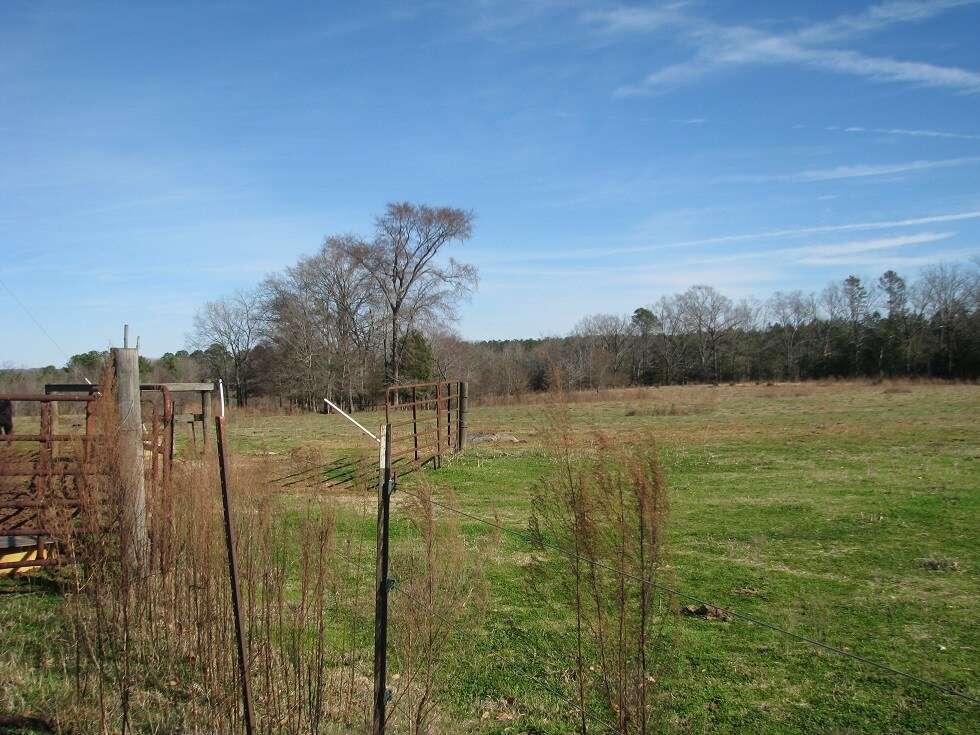 4745 Dewitt Rd, Blackstock, SC 29014 54 Acres Mathis Drive