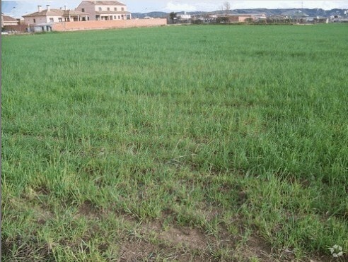 Calle Patrocinio, 1, Talavera de la Reina, Toledo for sale - Building Photo - Image 2 of 3