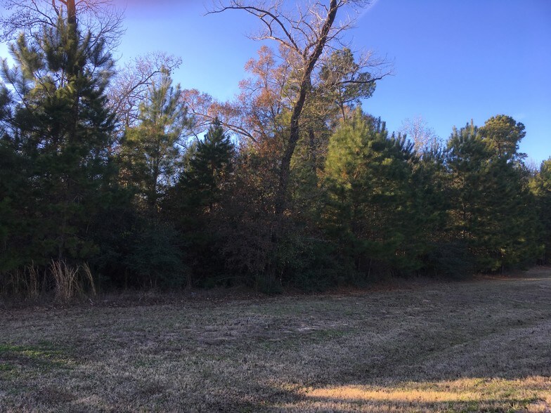 Fish Creek Thoroughfare, Conroe, TX for sale - Other - Image 1 of 1