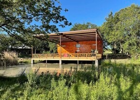 Tiger Mountain - Theater