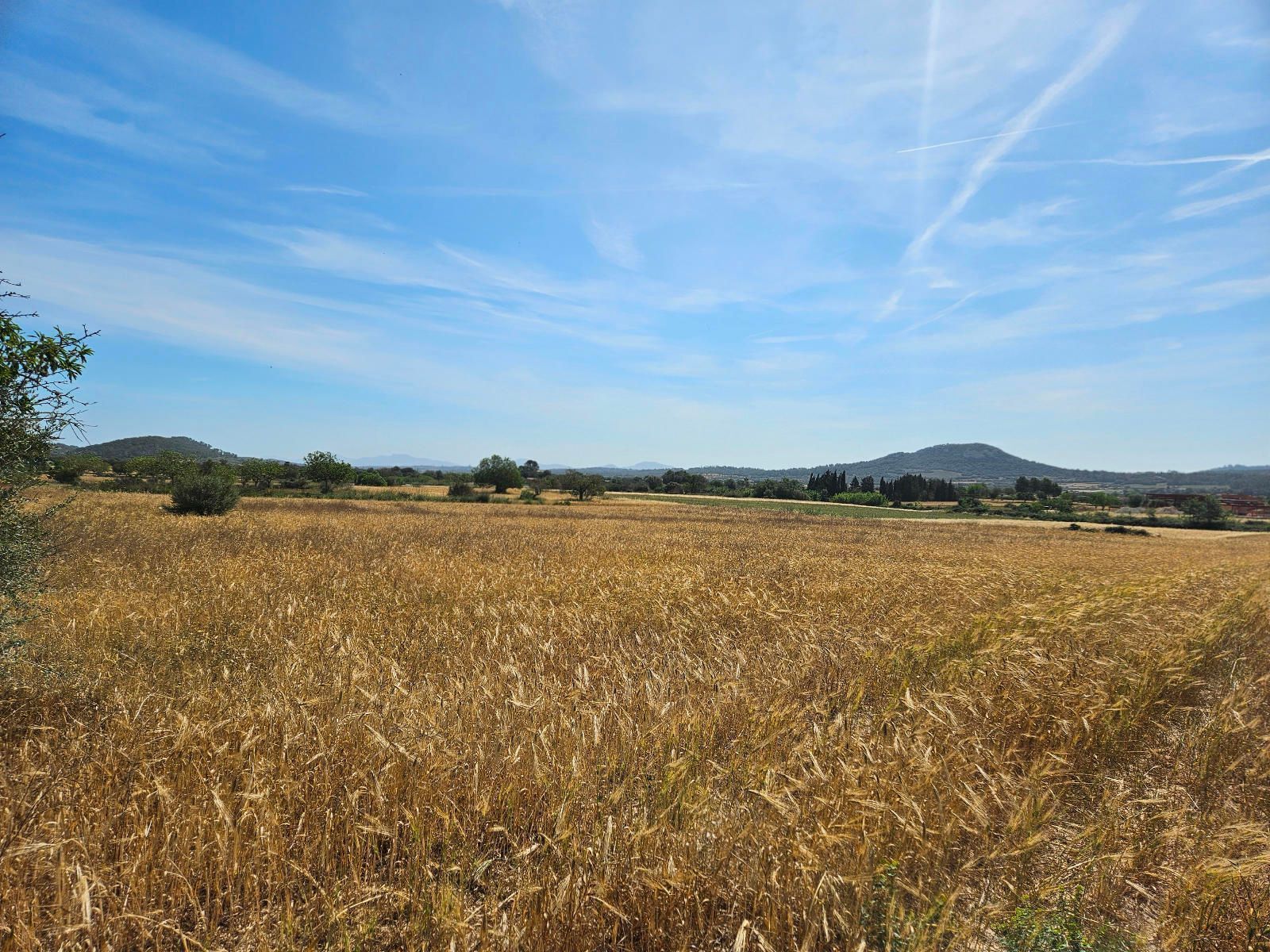 Land in Sineu for sale Aerial- Image 1 of 11