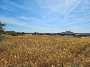 Sineu - AERIAL map view - Image1