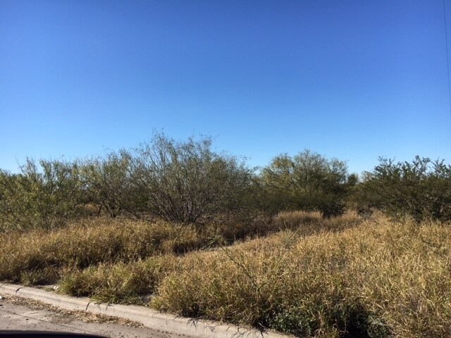 1102 Black Diamond St, Laredo, TX for sale - Building Photo - Image 1 of 1