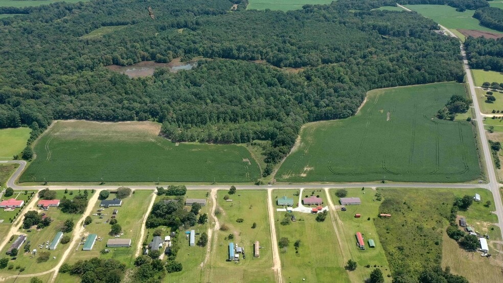 Resort St. and 6 hwy, Santee, SC for sale - Primary Photo - Image 2 of 7