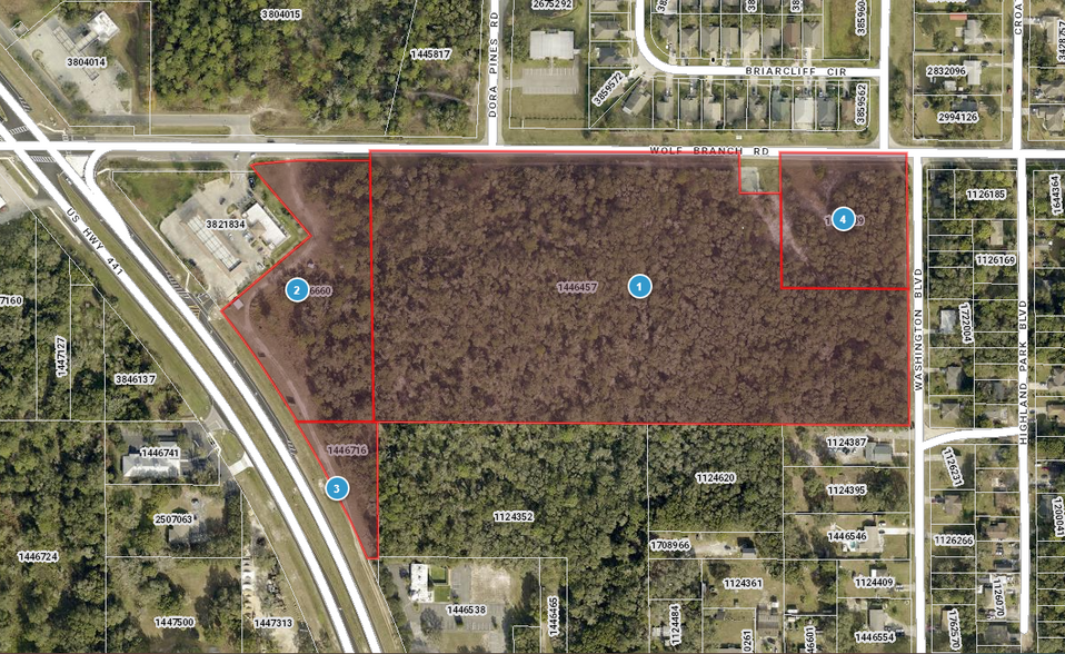 Wolf Branch Rd, Mount Dora, FL for sale - Building Photo - Image 1 of 4