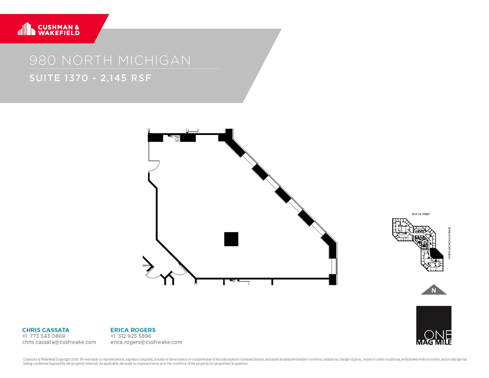 980 N Michigan Ave, Chicago, IL for lease Floor Plan- Image 1 of 1