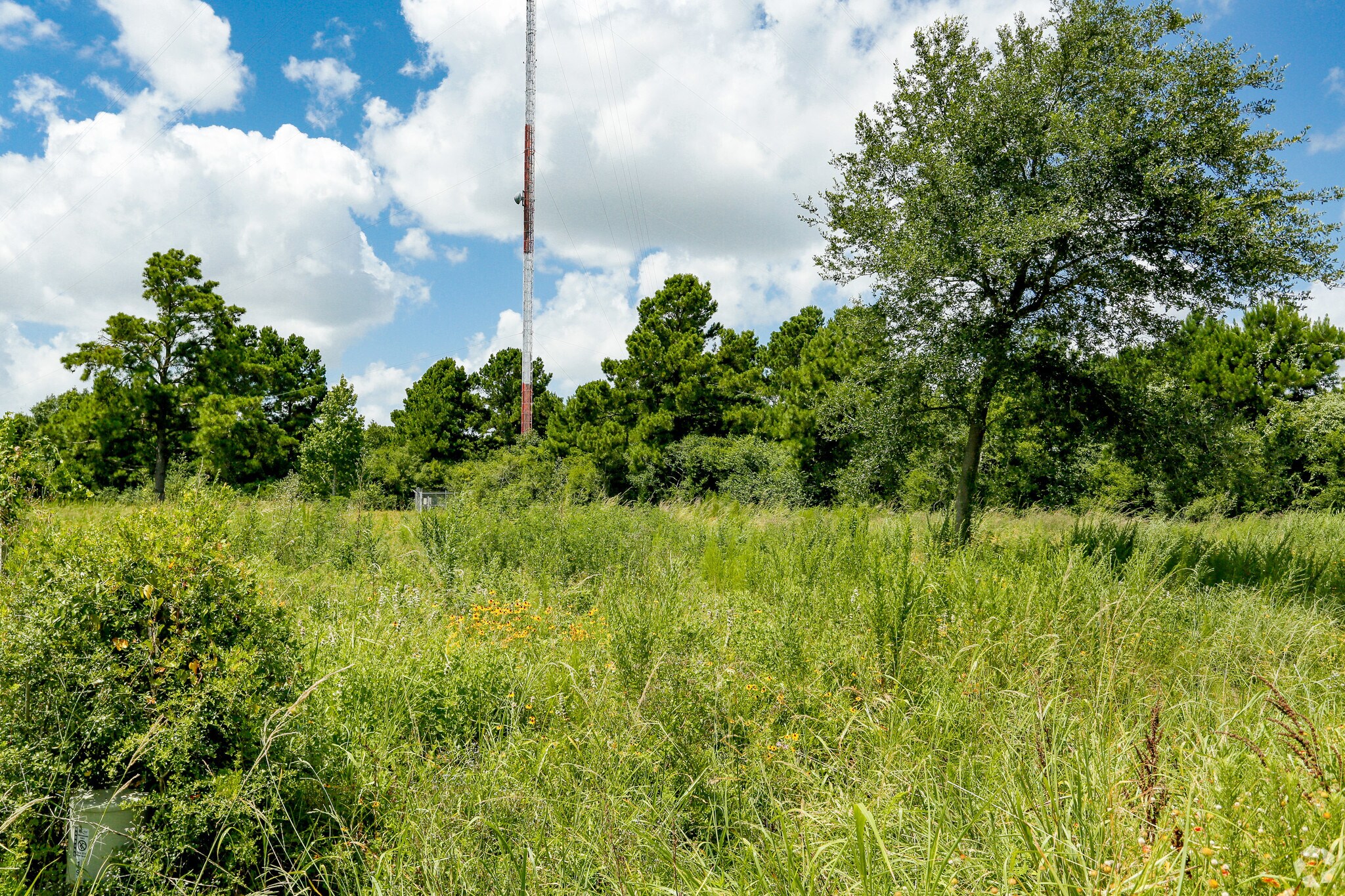 20025 Bauer Rd, Hockley, TX for sale Primary Photo- Image 1 of 1